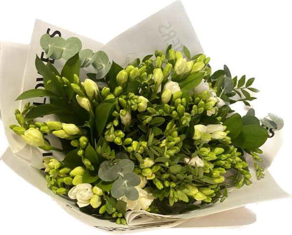 Buchet 49 fire de Frezii