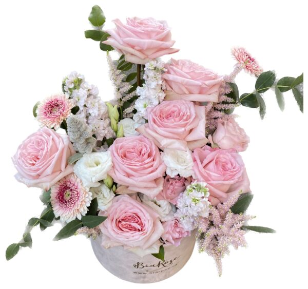 Aroma Bloom - imagine 3