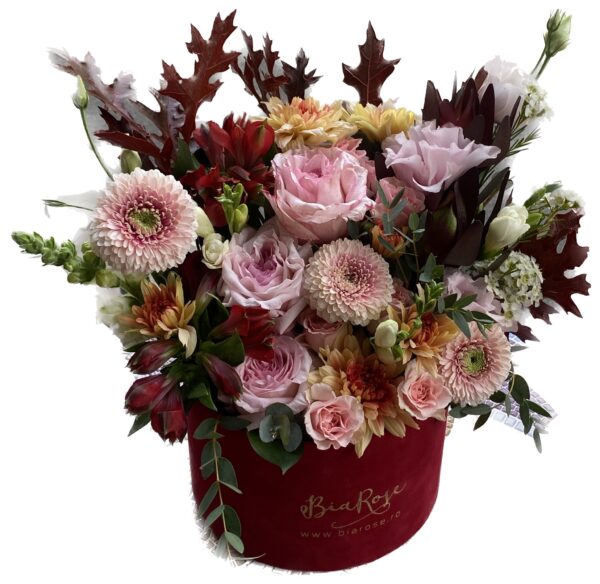 Magic in Flowers