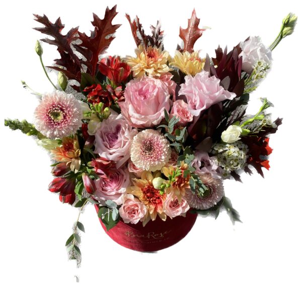 Magic in Flowers - imagine 5